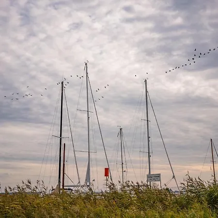 Muehlenstrasse 23 - Kranichblick