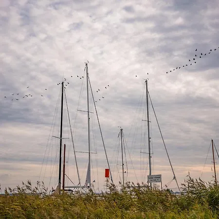 Muehlenstrasse 23 - Kranichblick