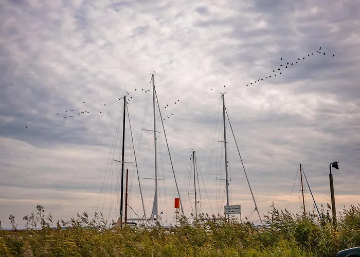 Muehlenstrasse 23 - Kranichblick
